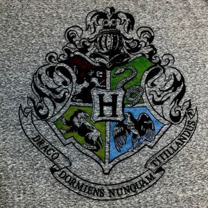 Harry Potter XL Cotton Blend Tee Unisex